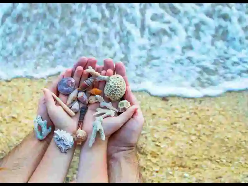 Tide-Pools