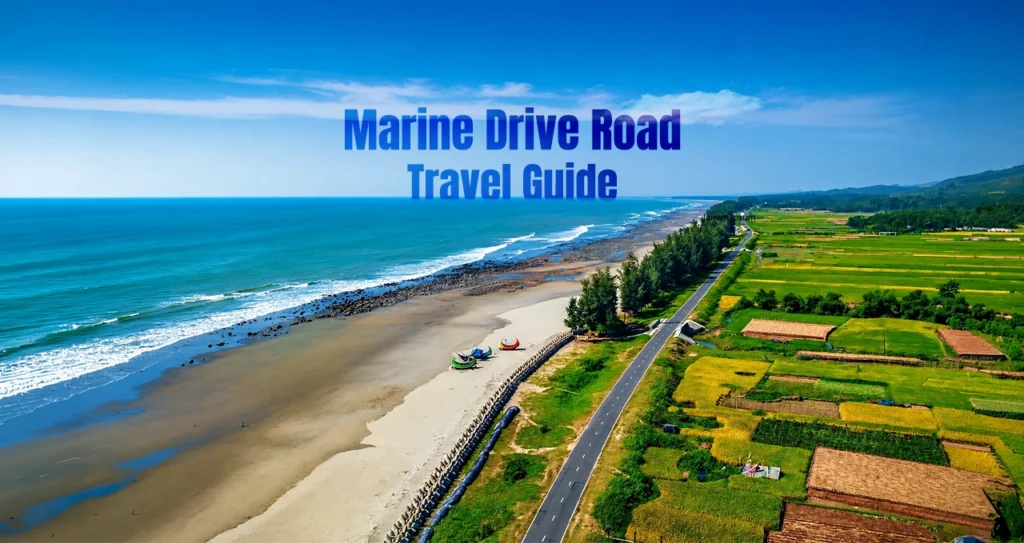marin drive road travel guide