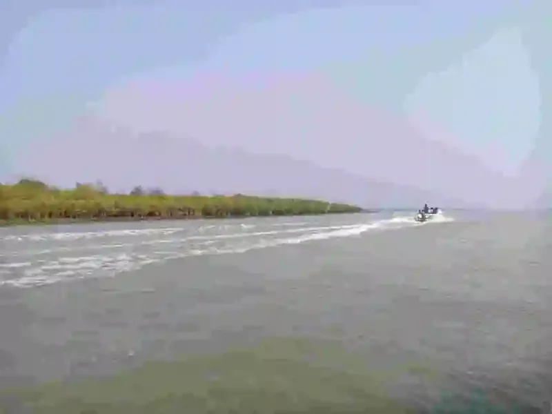 Bakhali River